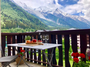 Mont Blanc 43, vue Mont Blanc , balcon, parking